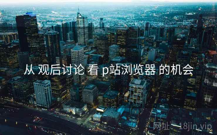 从 观后讨论 看 p站浏览器 的机会  第1张