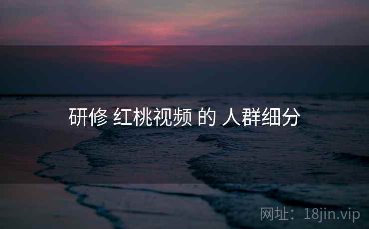 研修 红桃视频 的 人群细分  第1张