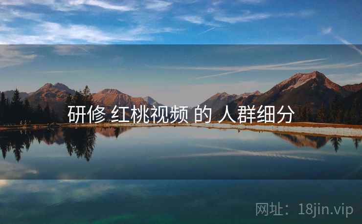 研修 红桃视频 的 人群细分  第2张
