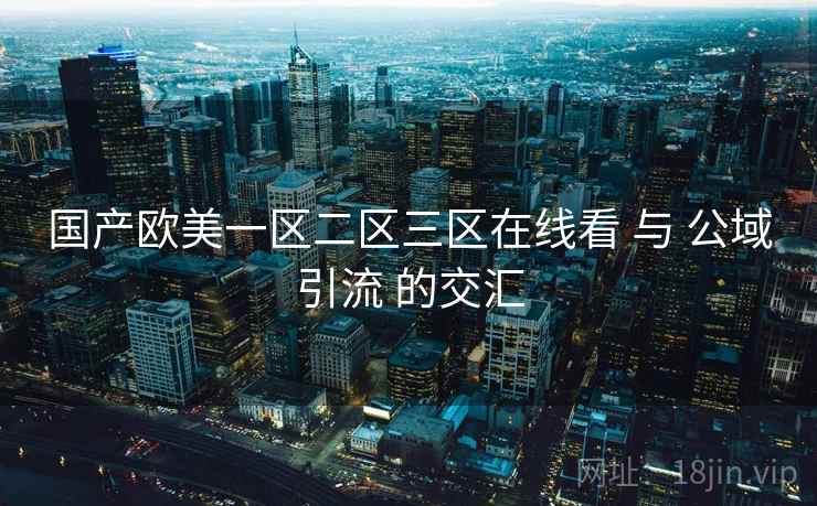 国产欧美一区二区三区在线看 与 公域引流 的交汇  第1张