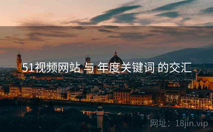 51视频网站 与 年度关键词 的交汇  第2张