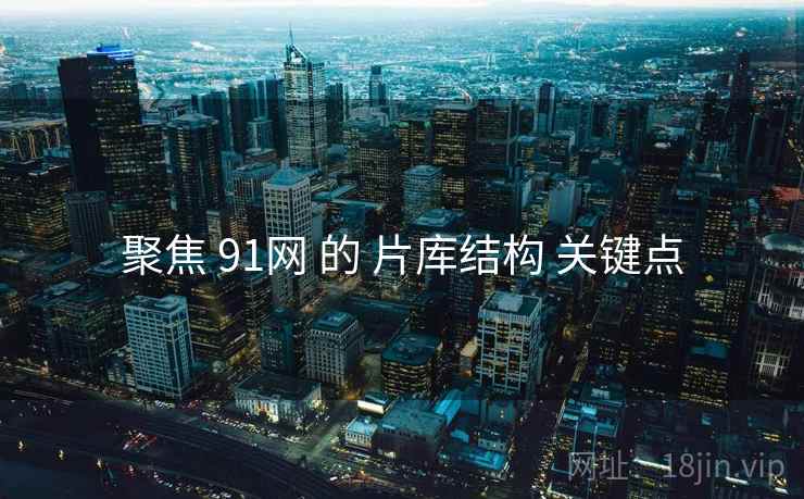 聚焦 91网 的 片库结构 关键点  第1张