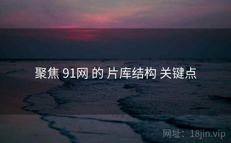 聚焦 91网 的 片库结构 关键点  第2张