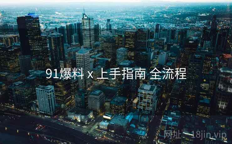 91爆料 x 上手指南 全流程  第1张