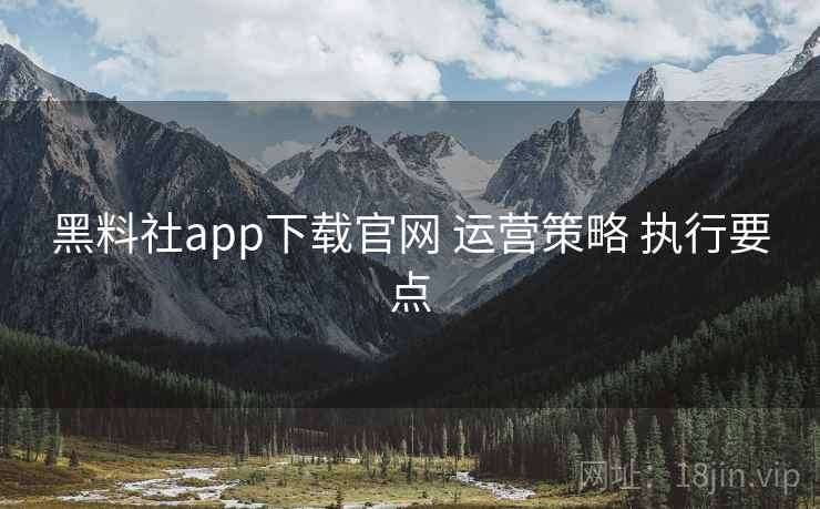 黑料社app下载官网 运营策略 执行要点  第2张