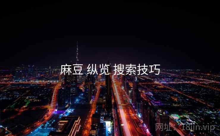 麻豆 纵览 搜索技巧  第1张