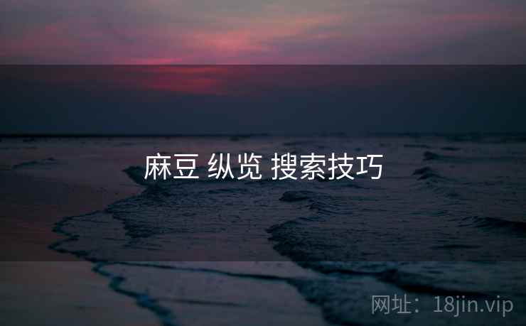麻豆 纵览 搜索技巧  第2张
