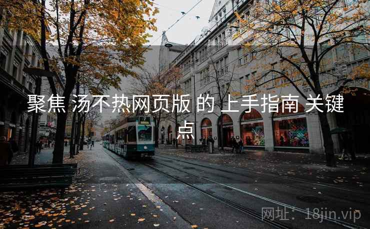 聚焦 汤不热网页版 的 上手指南 关键点  第1张