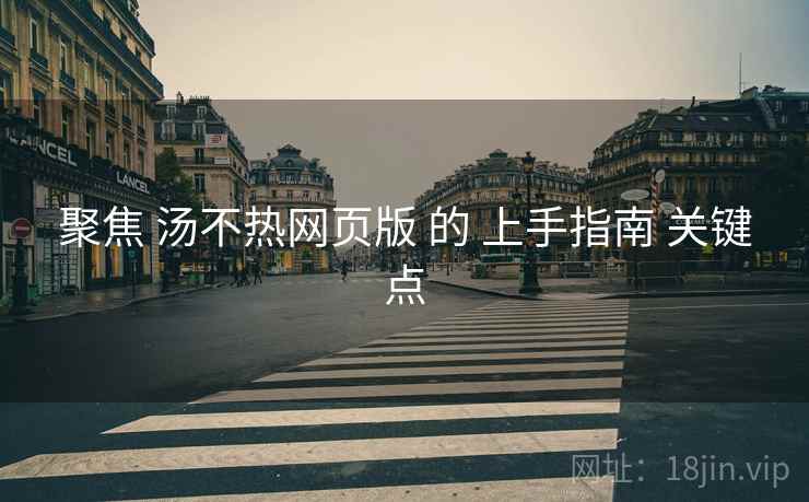 聚焦 汤不热网页版 的 上手指南 关键点  第2张