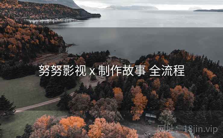 努努影视 x 制作故事 全流程  第1张