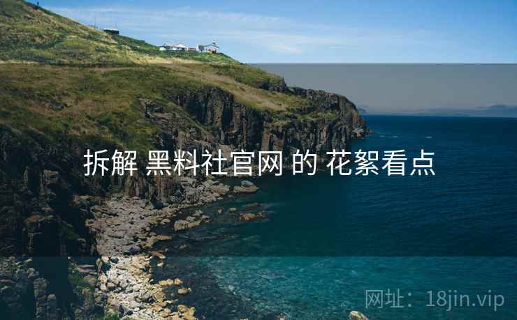 拆解 黑料社官网 的 花絮看点  第1张