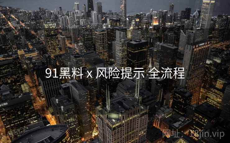 91黑料 x 风险提示 全流程  第1张