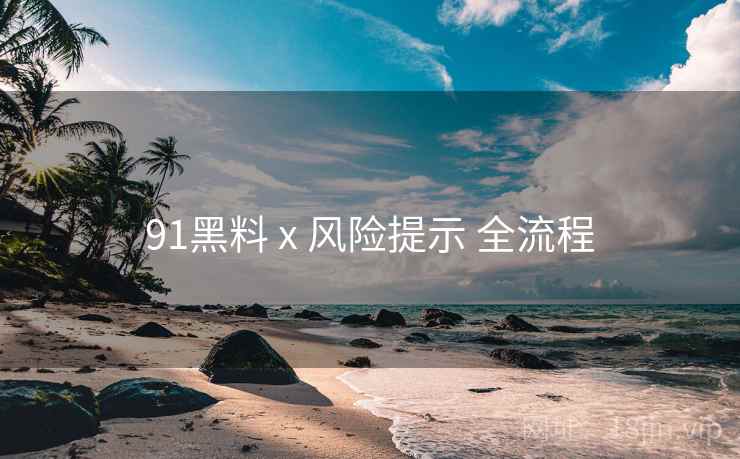 91黑料 x 风险提示 全流程  第2张