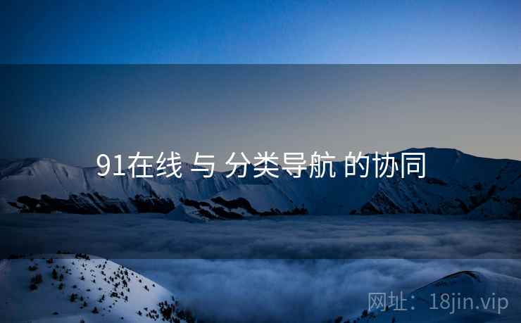 91在线 与 分类导航 的协同  第1张