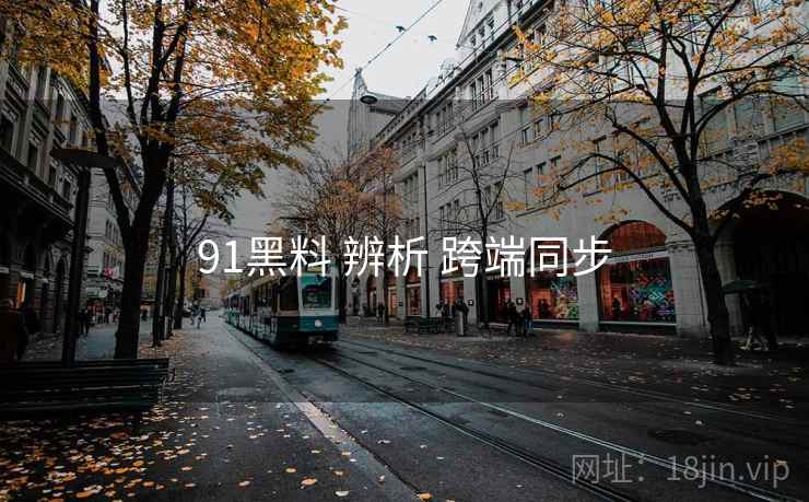 91黑料 辨析 跨端同步  第1张
