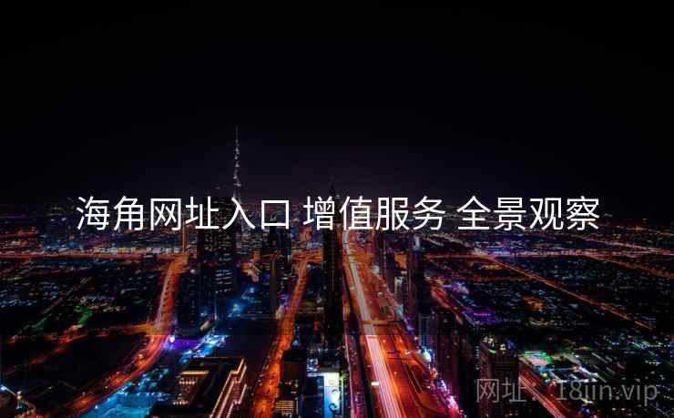 海角网址入口 增值服务 全景观察  第1张