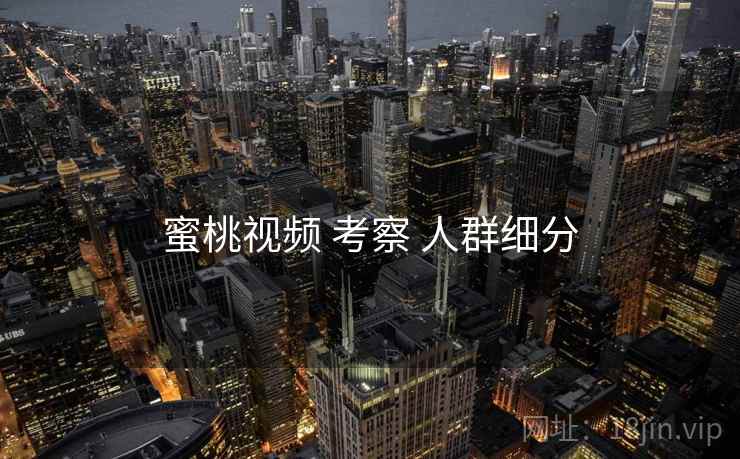 蜜桃视频 考察 人群细分  第1张