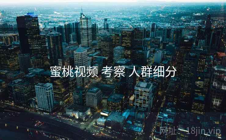 蜜桃视频 考察 人群细分  第2张