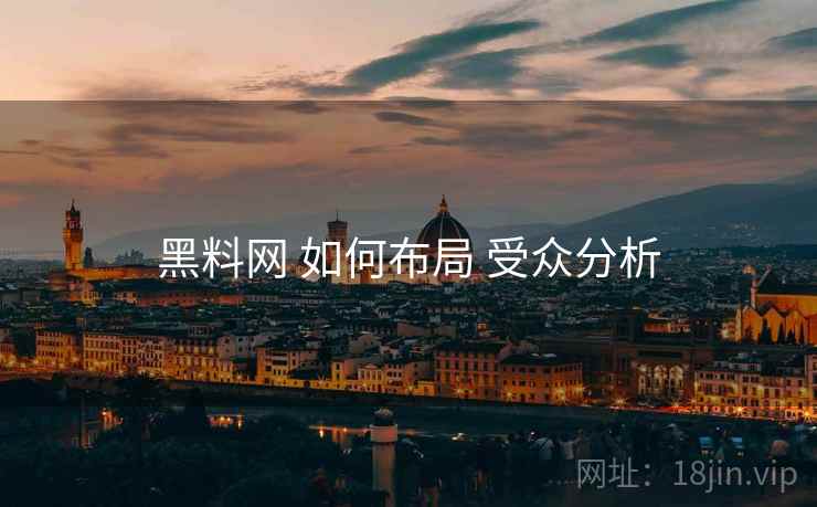 黑料网 如何布局 受众分析  第2张