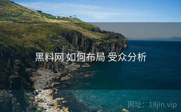 黑料网 如何布局 受众分析  第1张