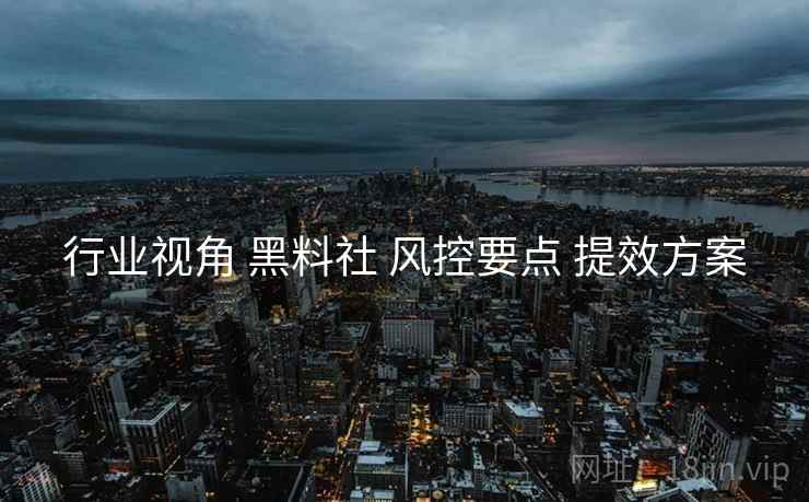 行业视角 黑料社 风控要点 提效方案  第1张