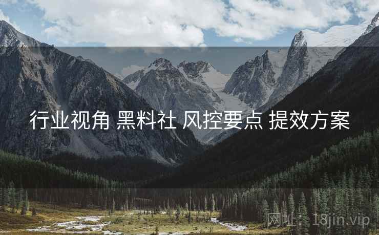 行业视角 黑料社 风控要点 提效方案  第2张